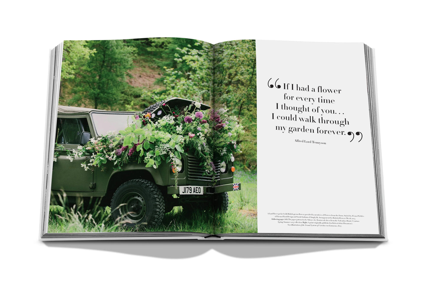 Assouline Flowers: Art & Bouquets