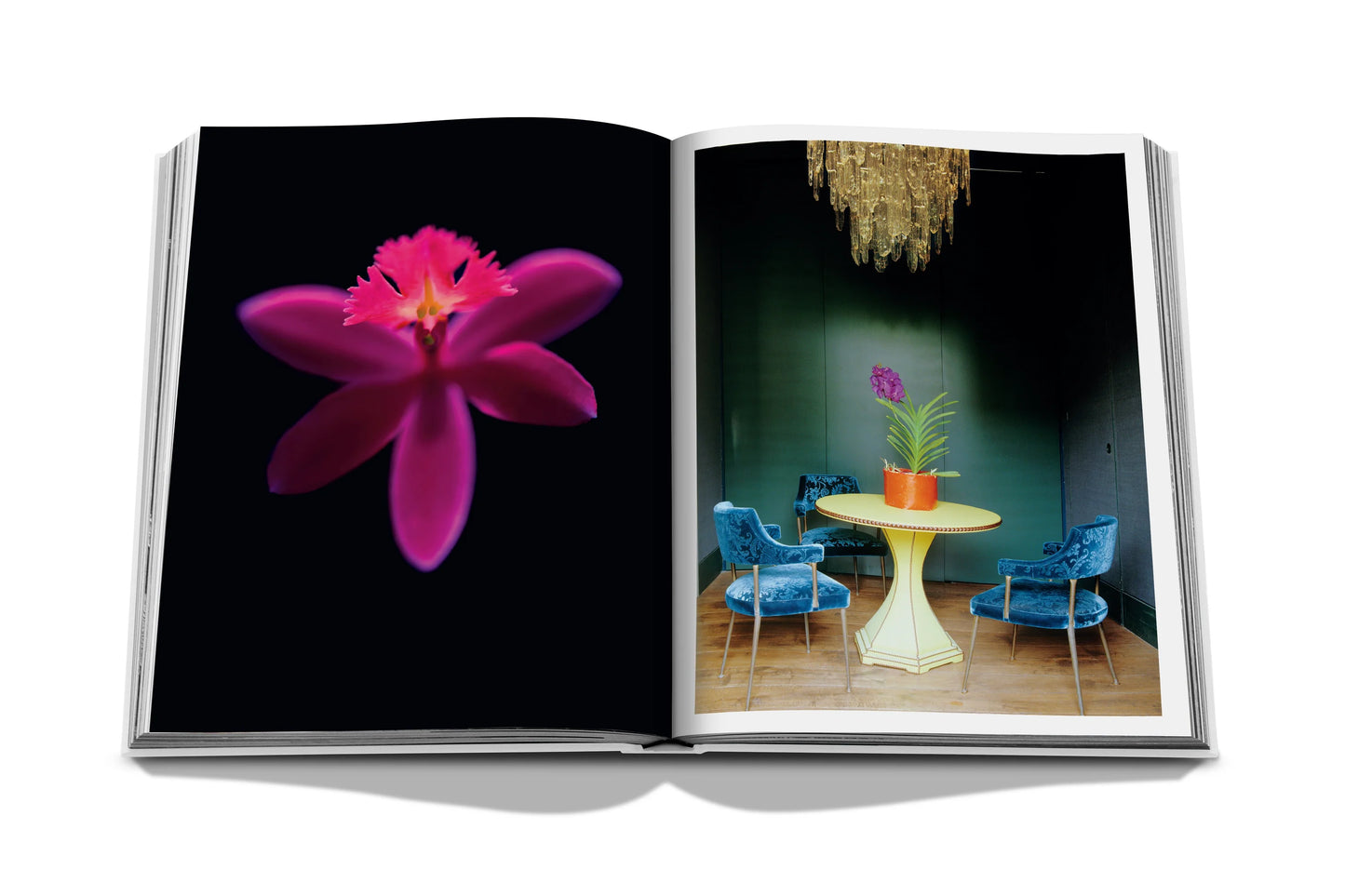Assouline Flowers: Art & Bouquets