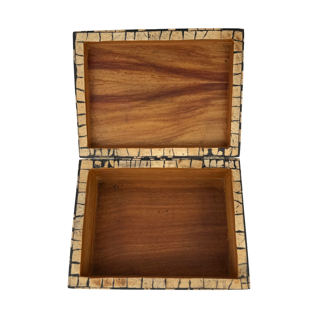 Coconut Shell Box
