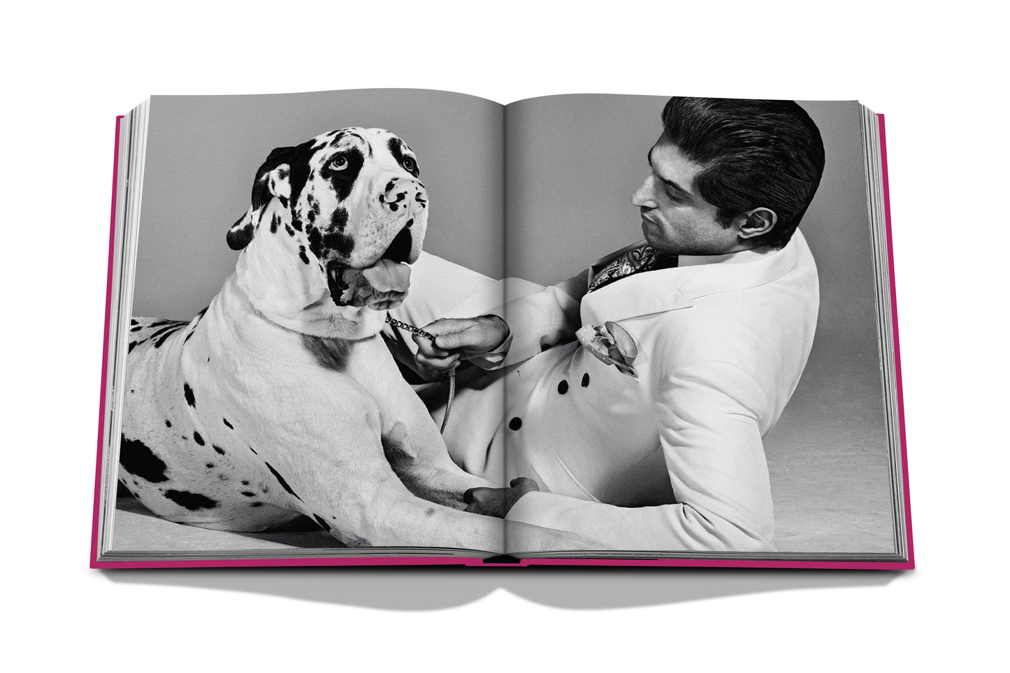 Assouline Chic Dogs