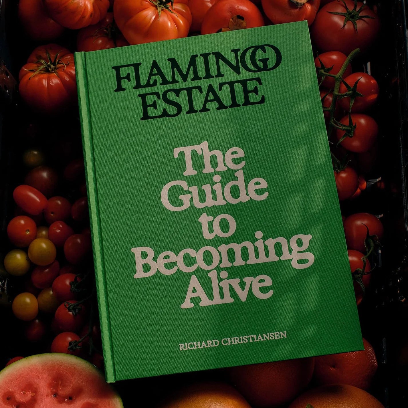 Flamingo Estate The Guide to Becoming Alive