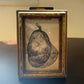 Pear Drawing by Unknown Artist with Antique Frame