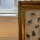 Bug Drawing by Hal Bohn with Antique Frame