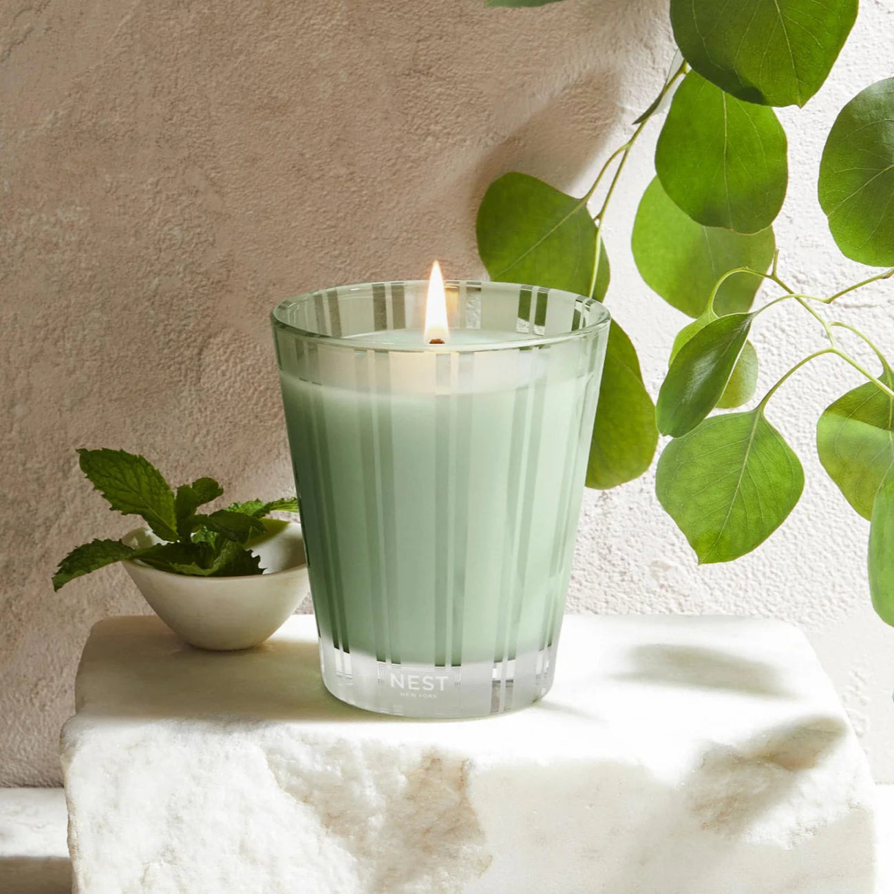 Nest Wild Mint & Eucalyptus Classic Candle