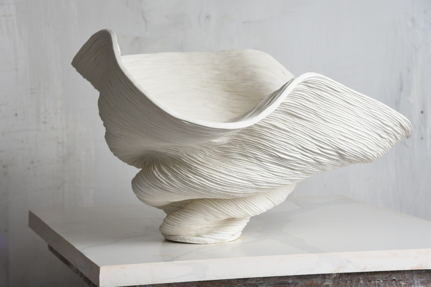 Phillip Soucy XL White Porcelain Bowl