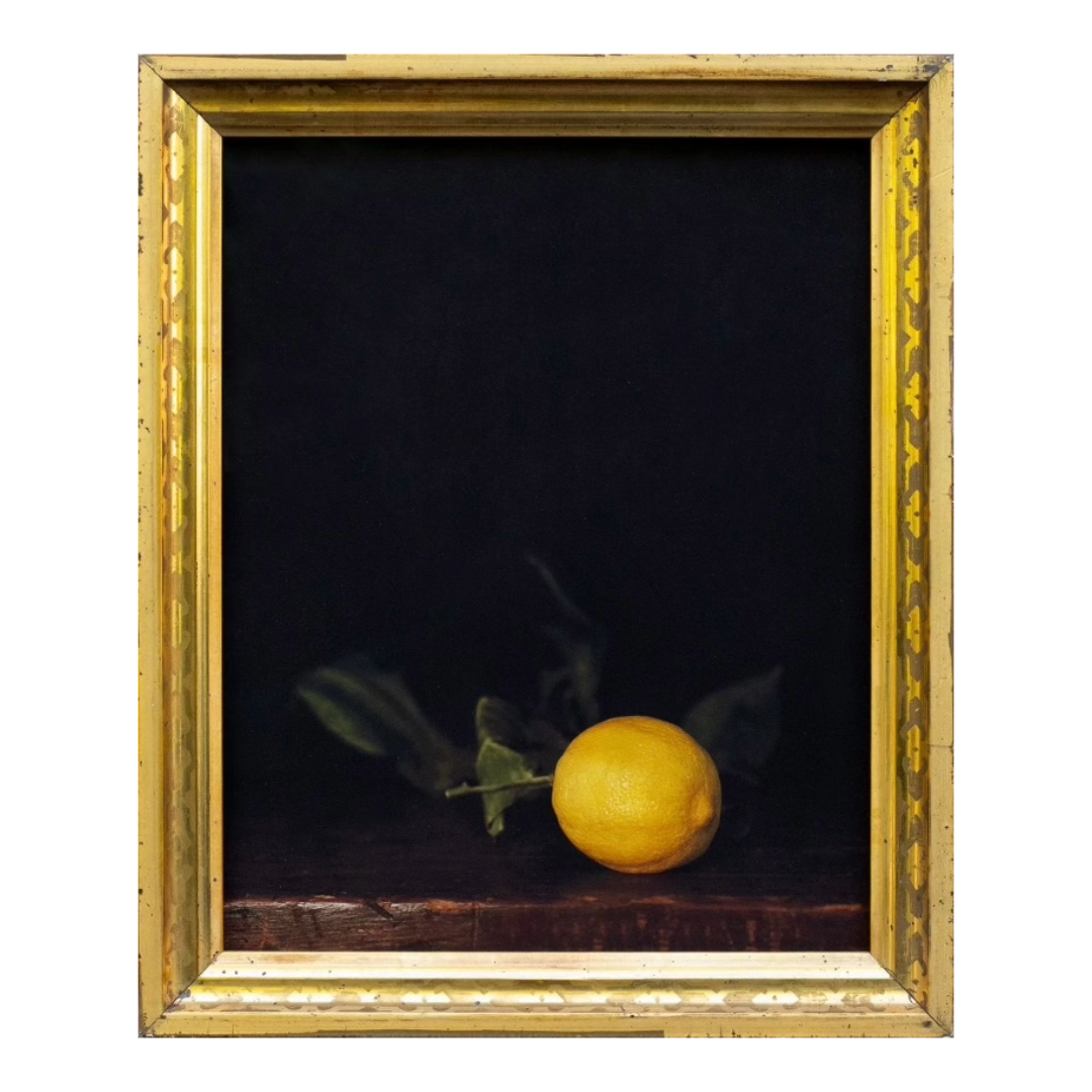 Lemon by Jefferson Hayman