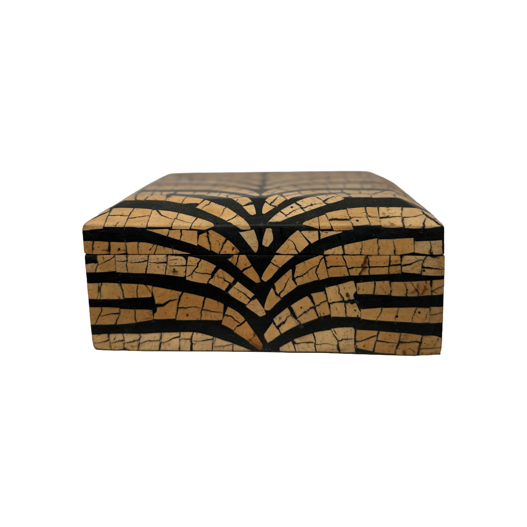 Coconut Shell Box