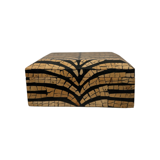 Coconut Shell Box