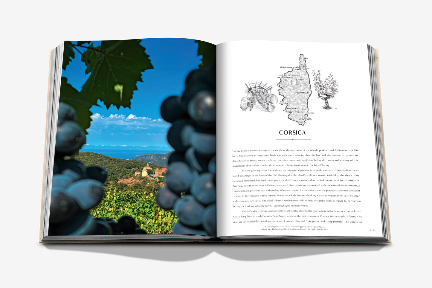 Assouline Wine & Travel France