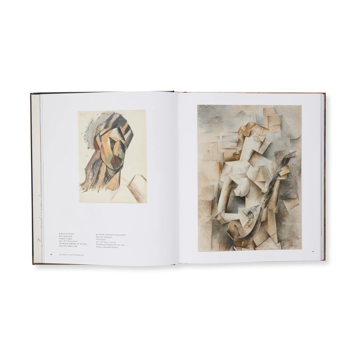 Picasso in Fontainebleau